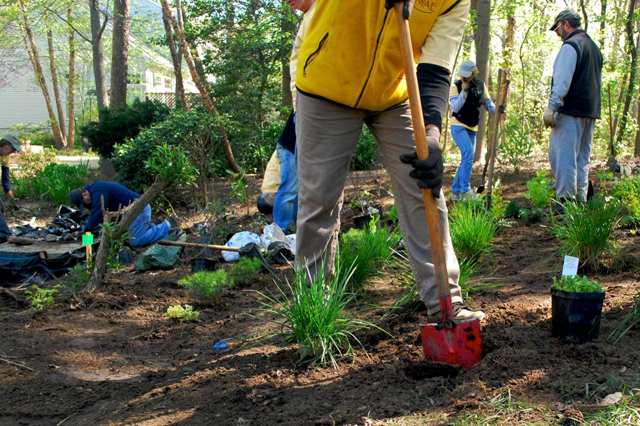 8-mile-rain-garden-dfc-a-field-guide-working-with-lots