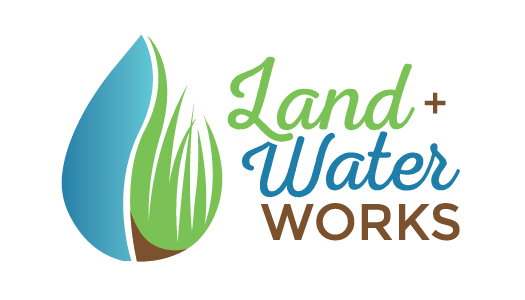 https://detroitfuturecity.com/wp-content/uploads/2017/12/Final-Land-and-Water-Works-Logo-101717-1.jpg