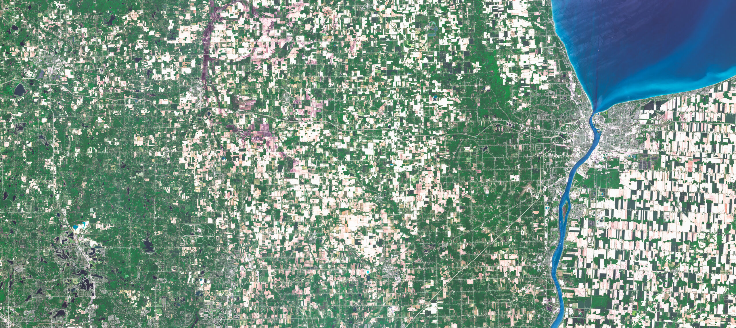 https://detroitfuturecity.com/wp-content/uploads/2026/06/AdobeStock_1893564135-scaled.jpeg